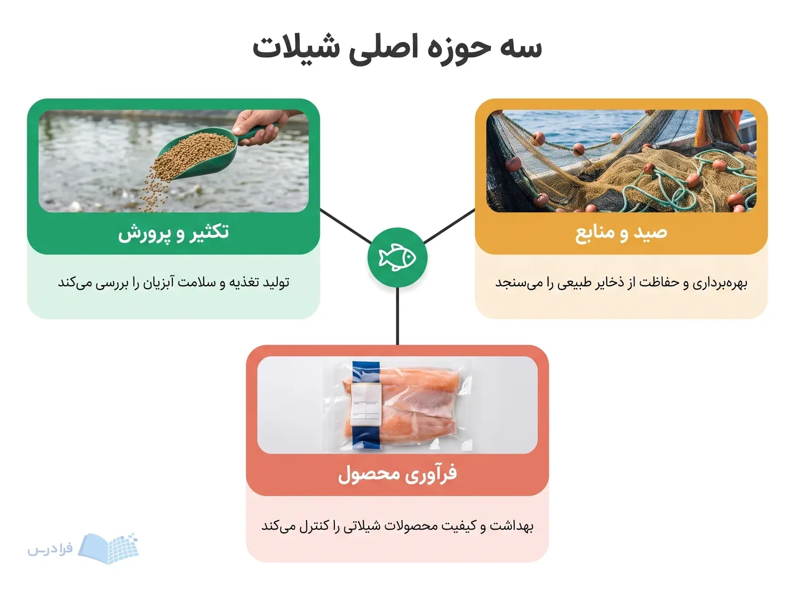 شاخه مرکزی با سه شاخه تکثیر و پرورش صید و منابع و فرآوری محصول.