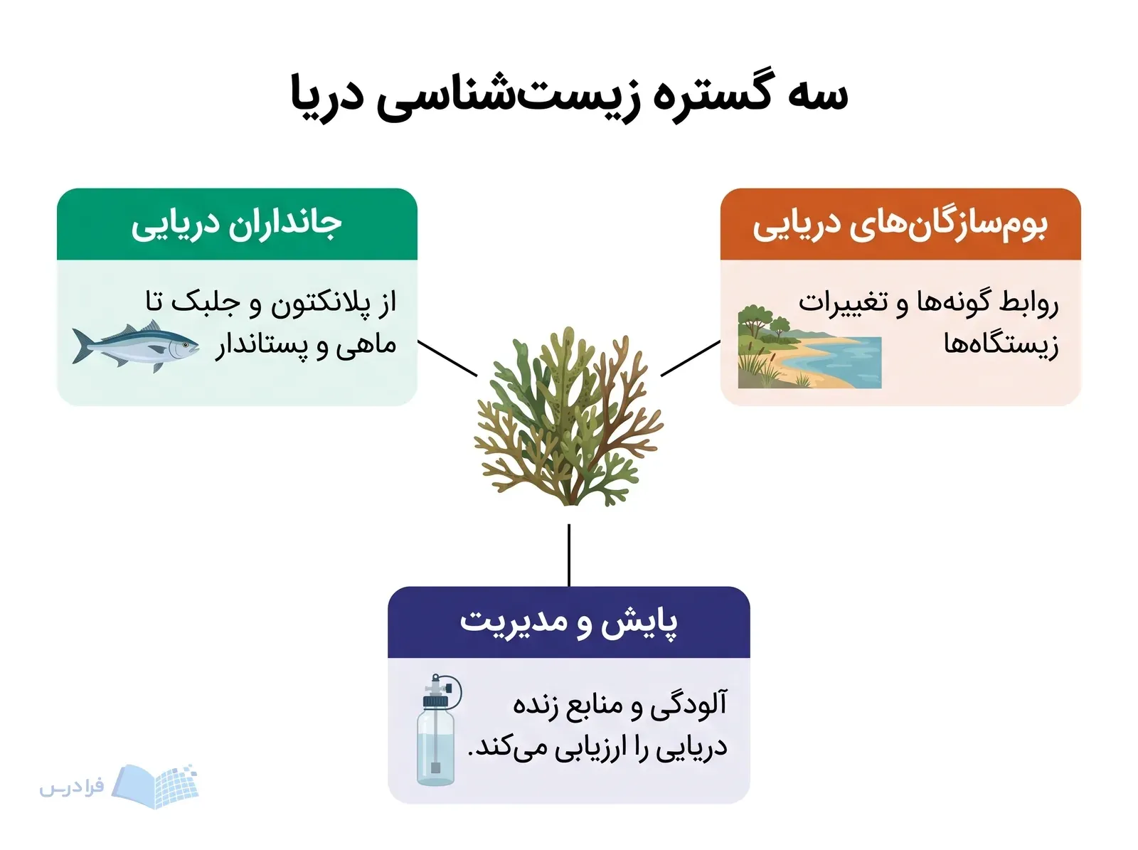 جلبک دریایی در مرکز با سه بخش جانداران دریایی، بومسازگانها و پایش محیطی