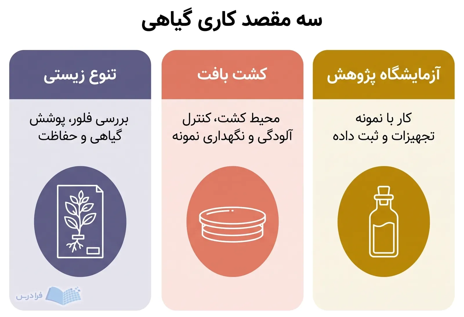 سه پنل آزمایشگاه پژوهش، کشت بافت و تنوع زیستی با ابزارهای متفاوت.