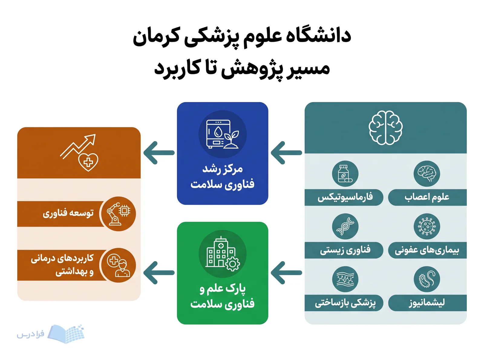 مسیر پژوهش دانشگاه علوم پزشکی کرمان از علوم اعصاب تا توسعه فناوری و کاربردهای درمانی و بهداشتی امتداد دارد.