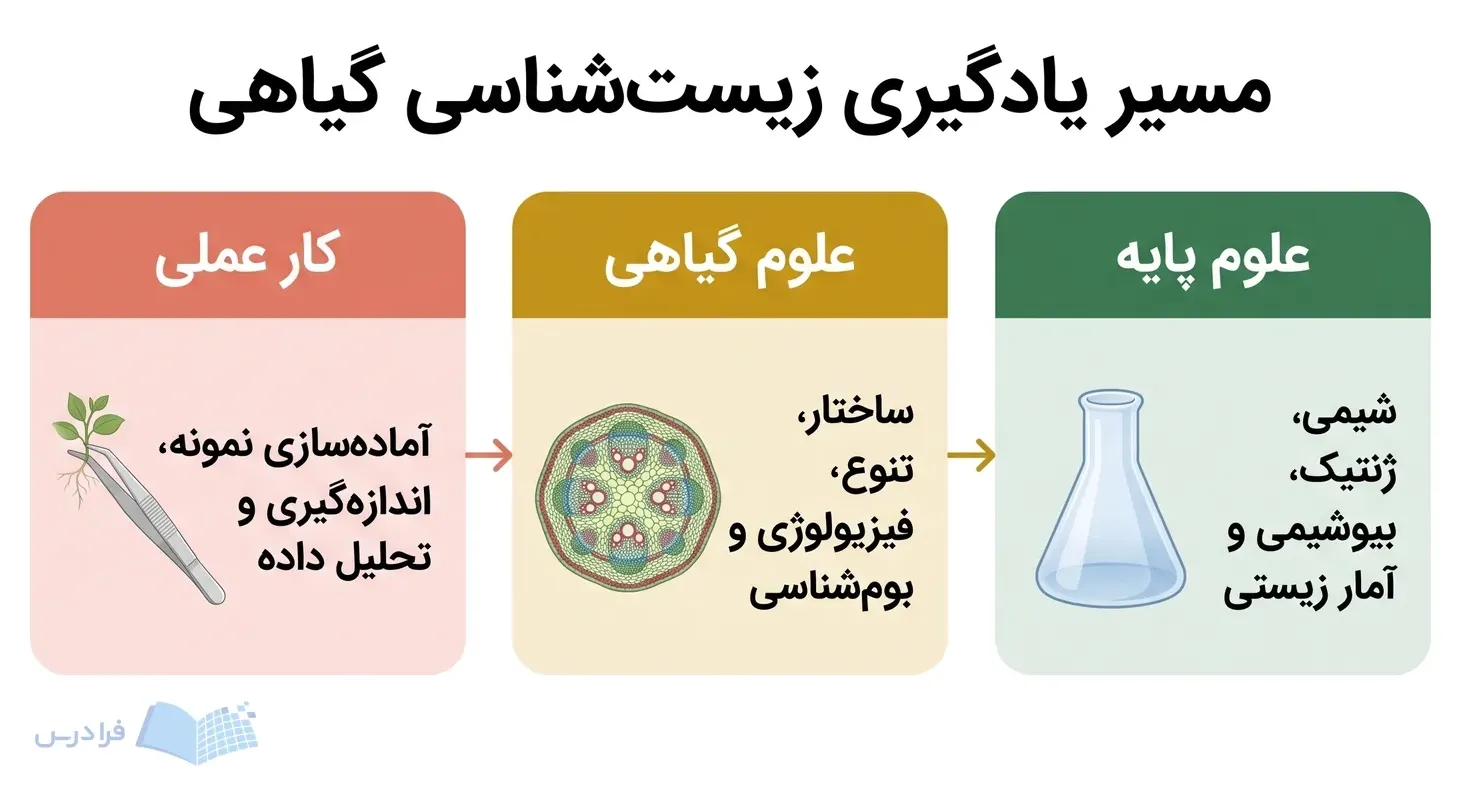 سه مرحله علوم پایه، علوم گیاهی و کار عملی در مسیر آموزشی زیستشناسی گیاهی.