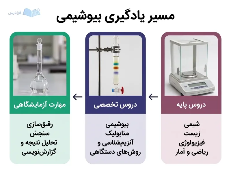 سه پنل پیوسته دروس پایه، دروس تخصصی و مهارت آزمایشگاهی بیوشیمی را نشان می‌دهد.