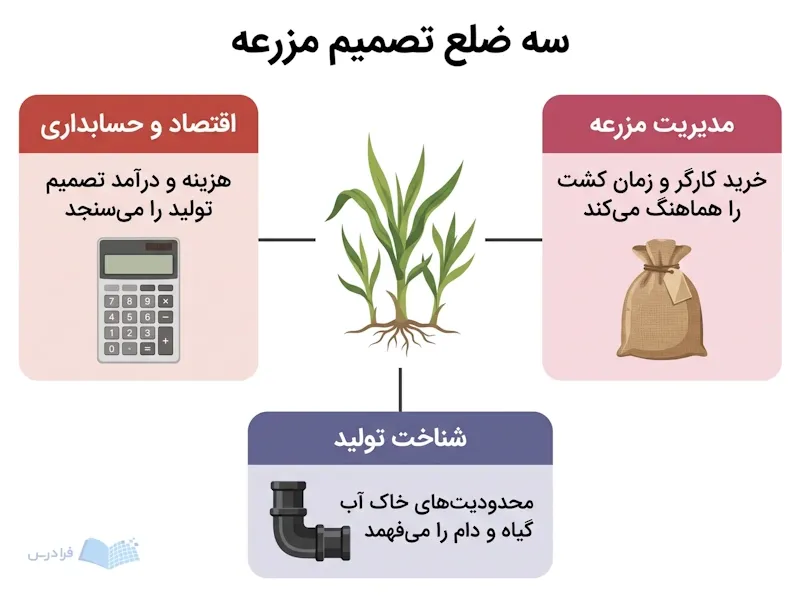 گیاه زراعی در مرکز نمودار، با سه شاخه اقتصاد، مدیریت مزرعه و شناخت تولید.
