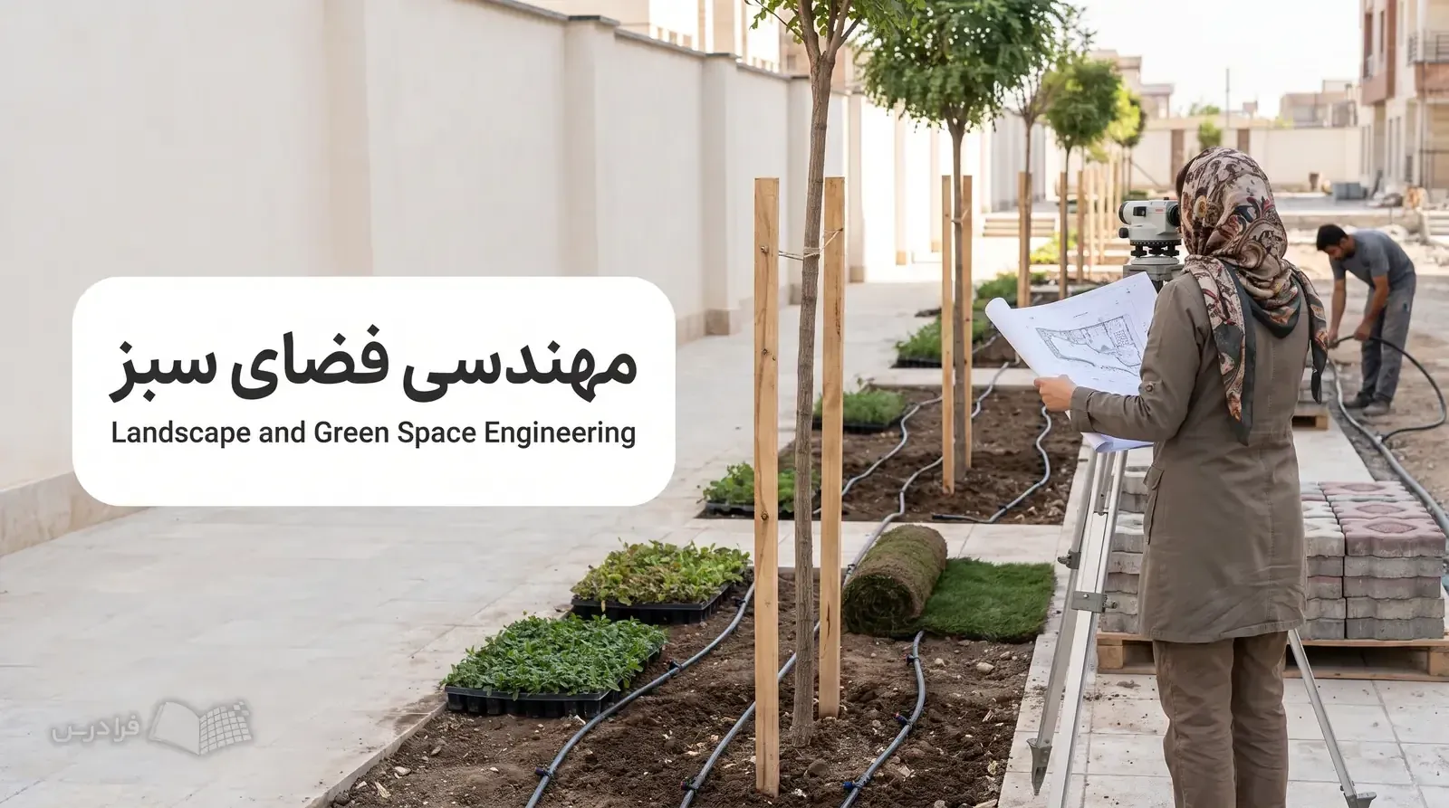 محوطه در حال اجرای یک مجتمع با نهالهای زینتی، آبیاری قطرهای و مهندس در حال بررسی نقشه کاشت.