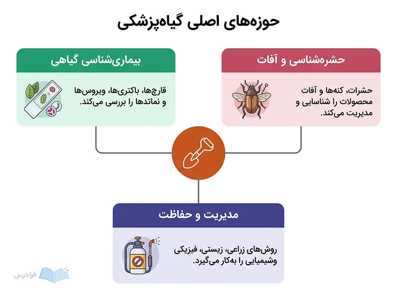 سه حوزه بیماریشناسی گیاهی، حشرهشناسی و مدیریت حفاظت پیرامون ابزار نمونهبرداری مزرعه قرار دارند.
