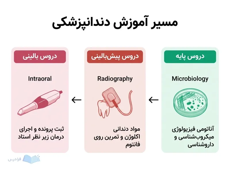 سه مرحله دروس پایه، پیش‌بالینی و بالینی دندانپزشکی در یک مسیر راست‌به‌چپ