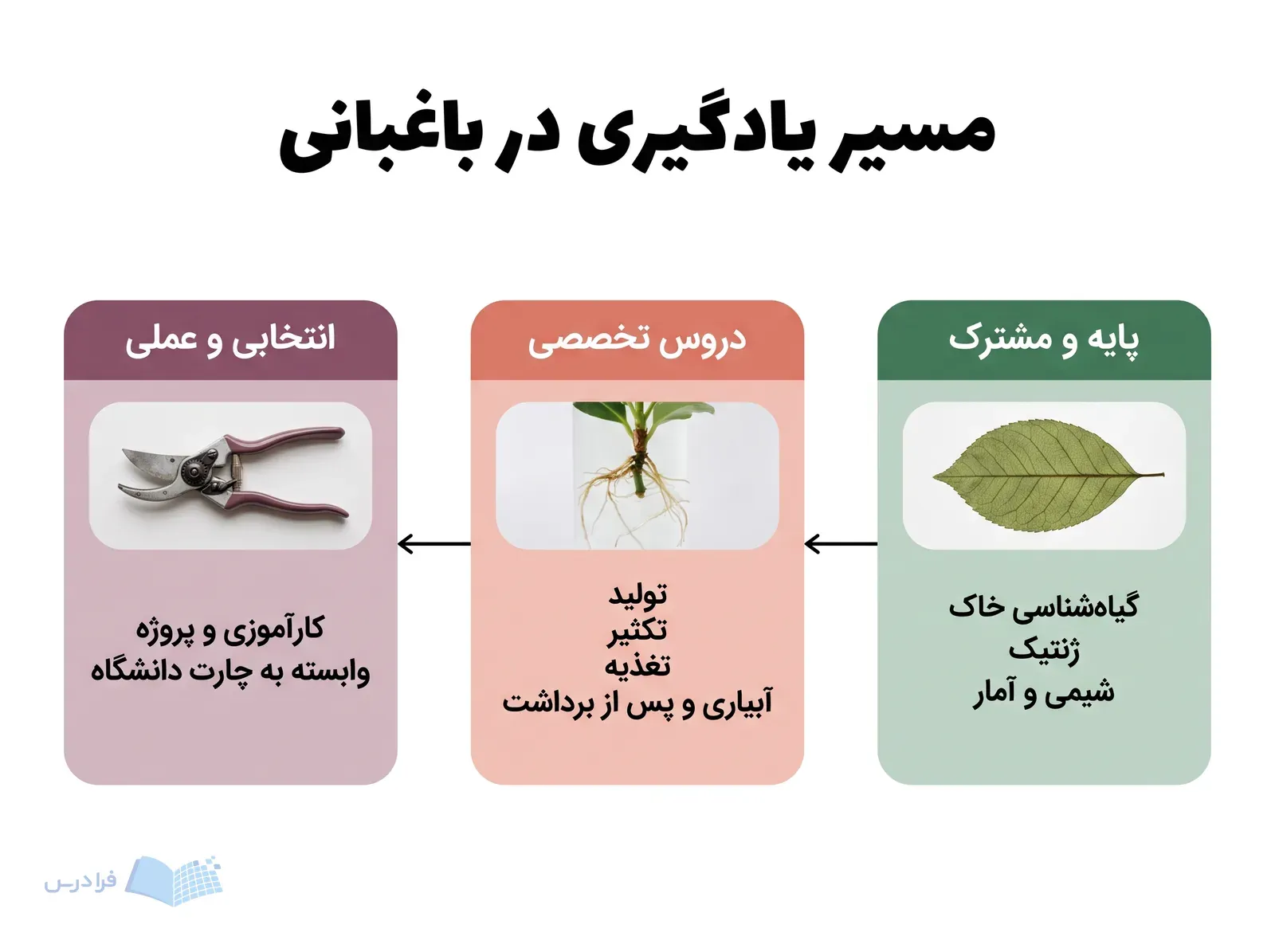 سه پنل پیوسته، دروس پایه، تخصصی و تجربه عملی باغبانی را نشان میدهند.