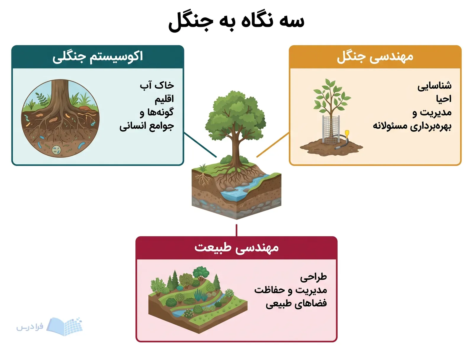 ساختار رشته، اکوسیستم جنگلی را در کنار مهندسی جنگل و مهندسی طبیعت نشان می‌دهد.