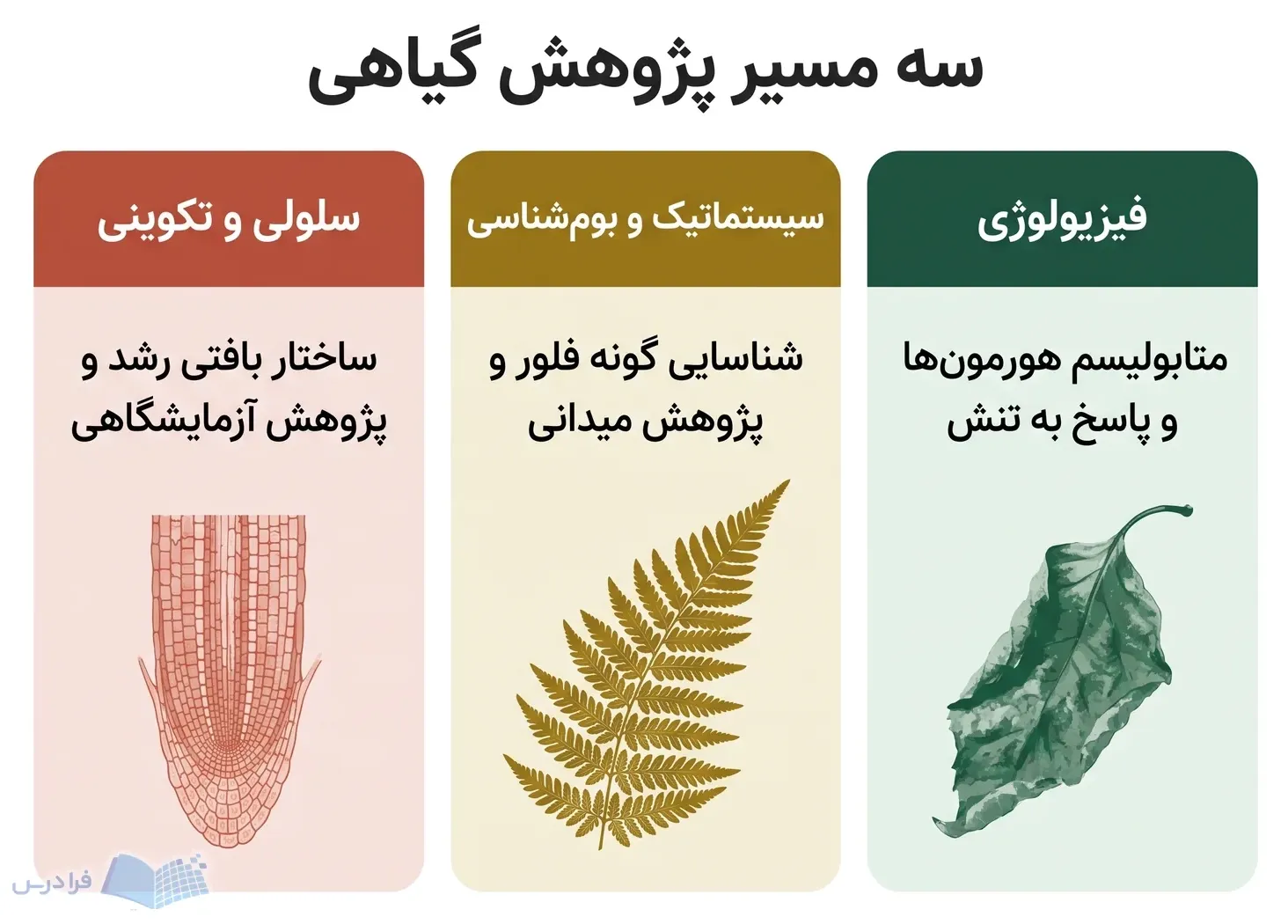 سه پنل فیزیولوژی، سیستماتیک و بومشناسی، و سلولی و تکوینی گیاهی با نمونههای متفاوت.