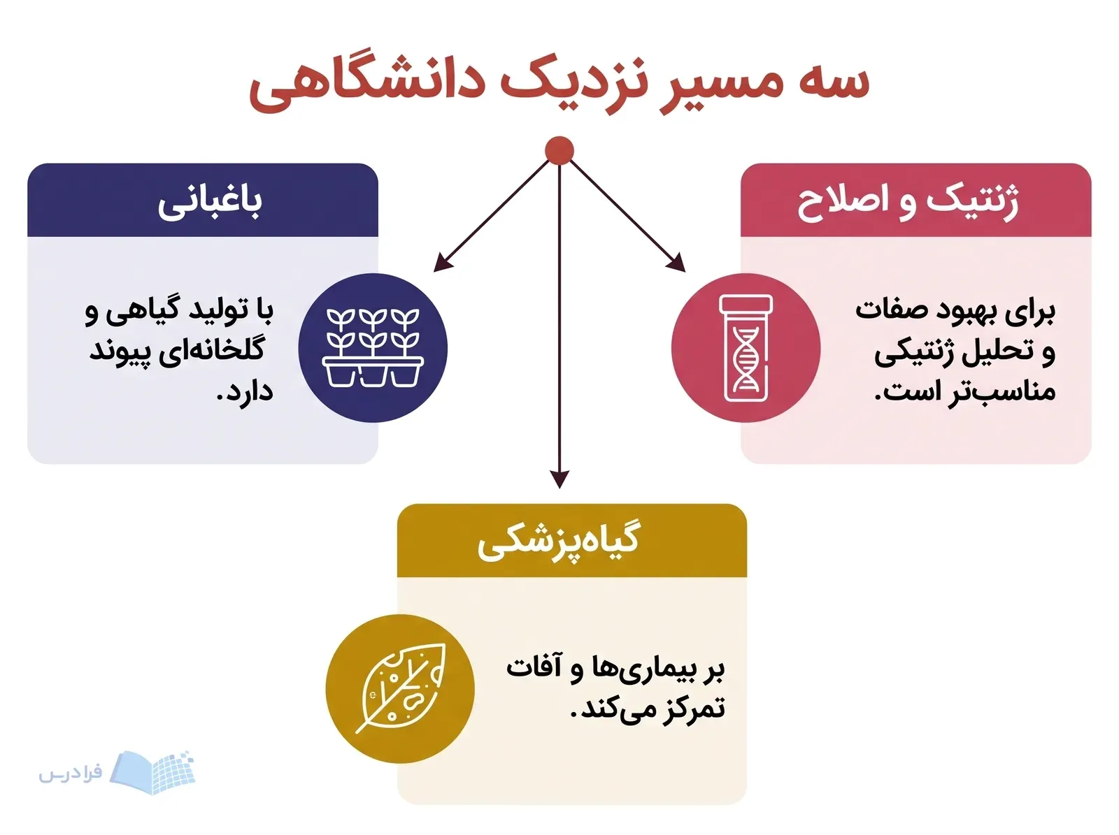 سه مسیر ژنتیک و اصلاح، باغبانی و گیاه‌پزشکی با نمونه DNA، نشا و برگ لکه‌دار.