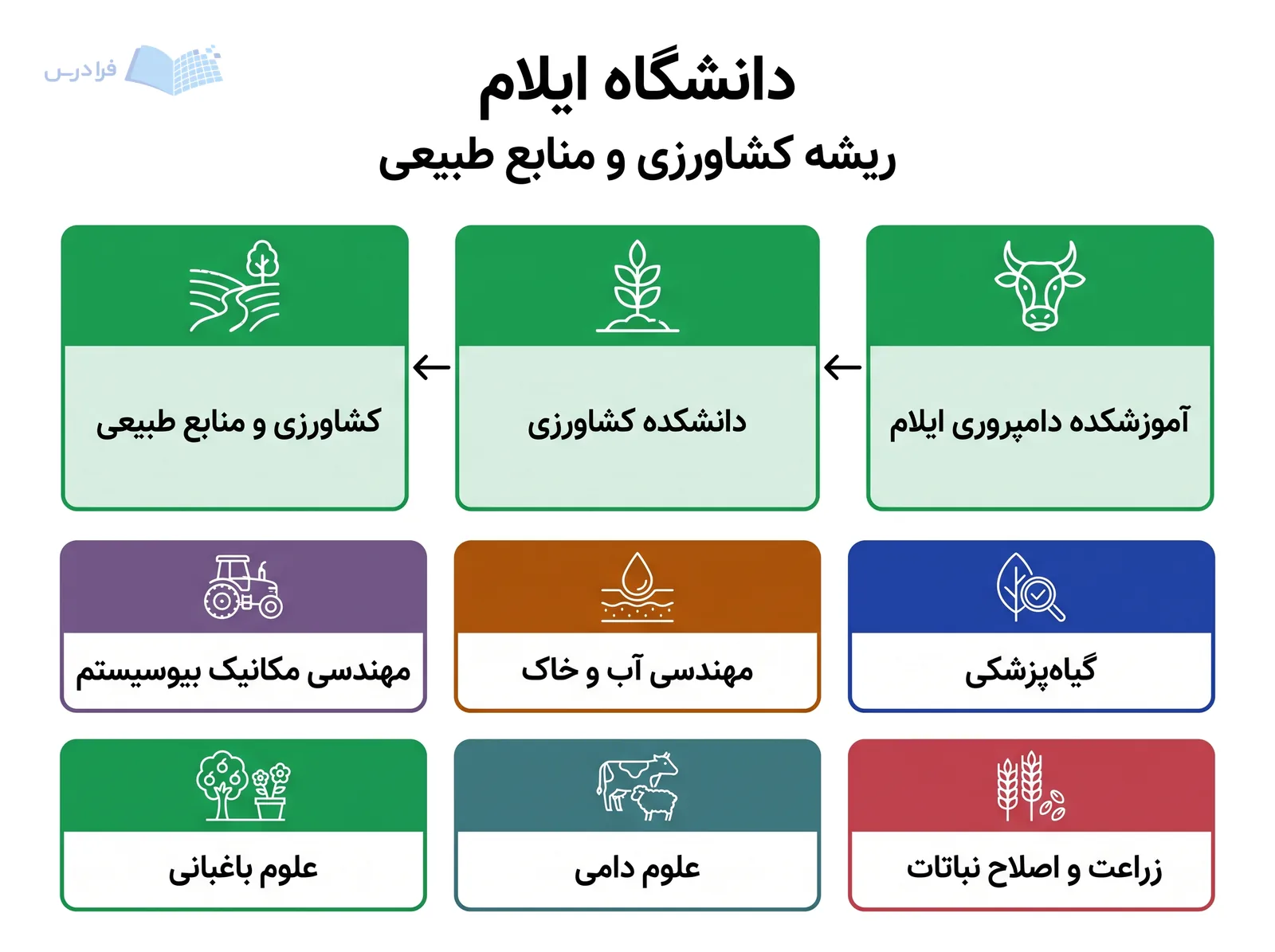 نمودار دانشگاه ایلام مسیر آموزشکده دامپروری، دانشکده کشاورزی و گسترش کشاورزی و منابع طبیعی را ترسیم میکند.