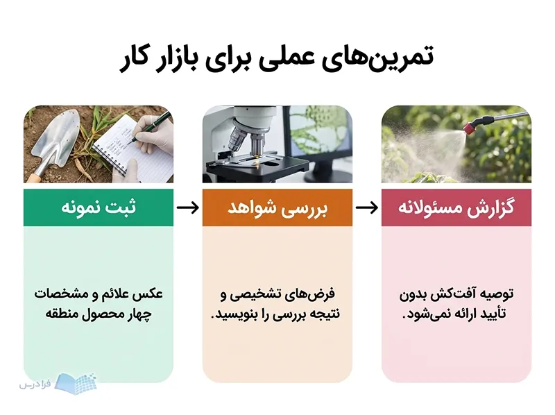 سه پنل ثبت نمونه، بررسی شواهد و گزارش مسئولانه در تمرینهای گیاهپزشکی.