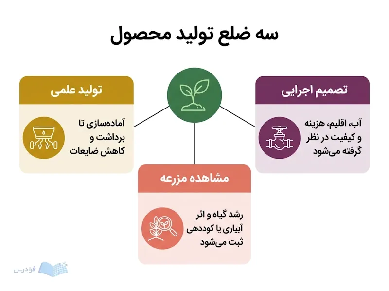نهال مرکزی با سه بخش تولید علمی مشاهده مزرعه و تصمیم اجرایی در زراعت.