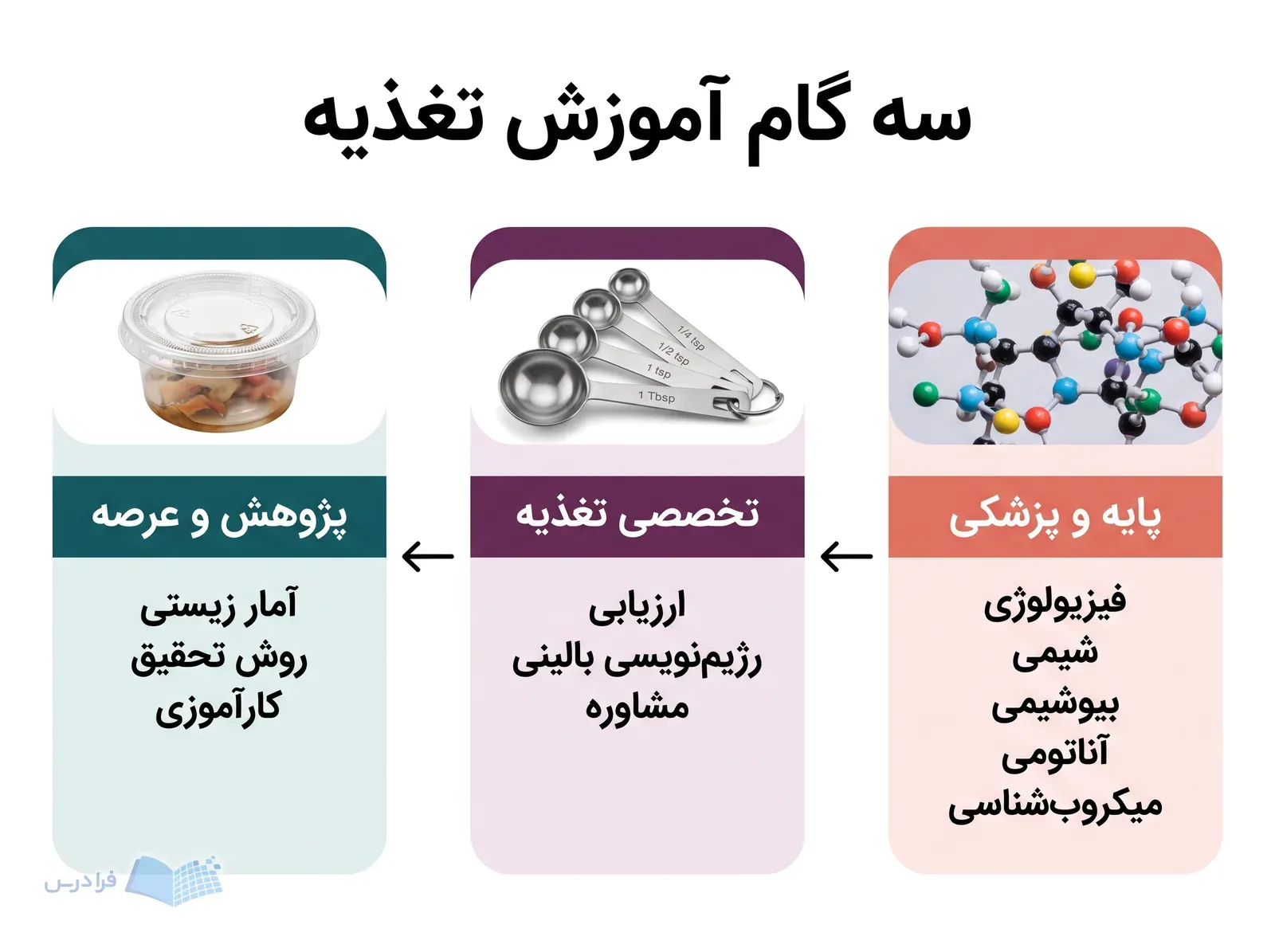 مسیر سهمرحلهای دروس علوم تغذیه از پایه پزشکی تا پژوهش و کارآموزی.