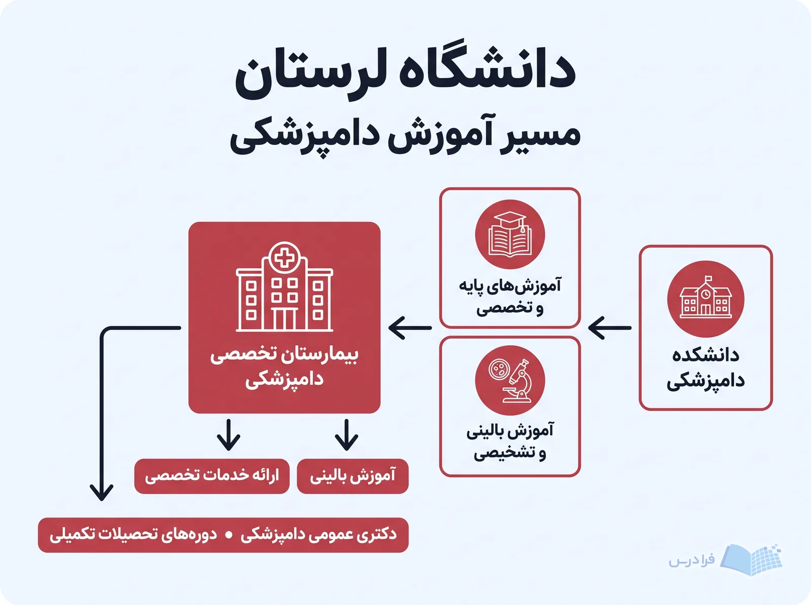 نمودار دانشگاه لرستان مسیر آموزش دامپزشکی را از مباحث پایه تا آموزش بالینی و تشخیصی ترسیم می‌کند.