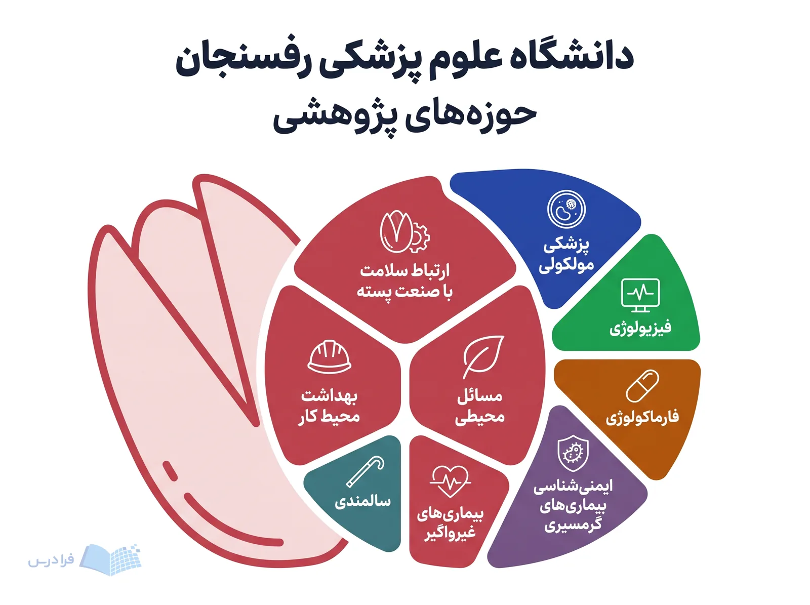 خوشههای پژوهشی دانشگاه علوم پزشکی رفسنجان، سلامت، صنعت پسته، محیط کار و بیماریها را مرتبط نشان میدهند.