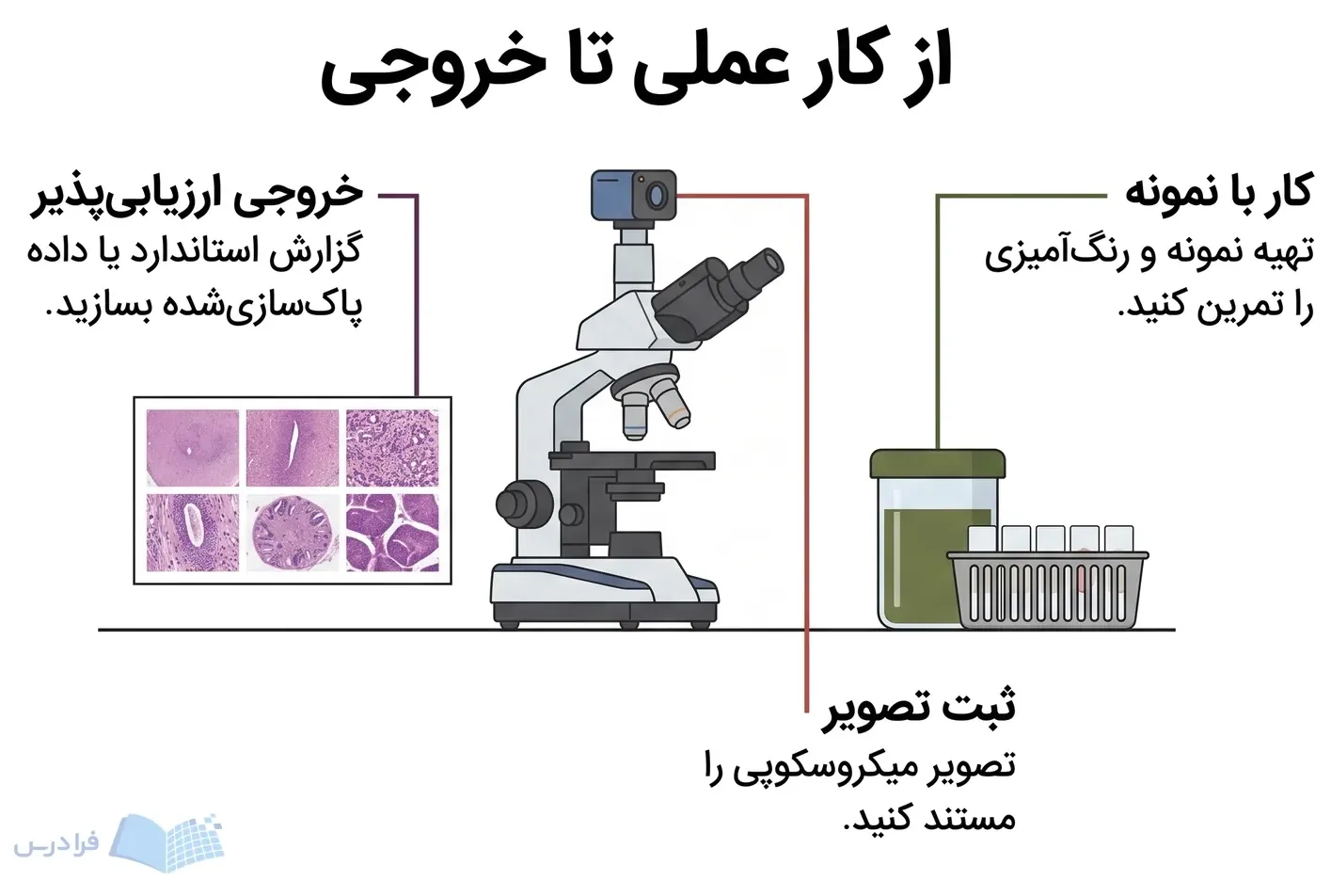 میز کار آزمایشگاهی با ظرف رنگآمیزی، دوربین میکروسکوپ و نمونههای ثبتشده برای مستندسازی.