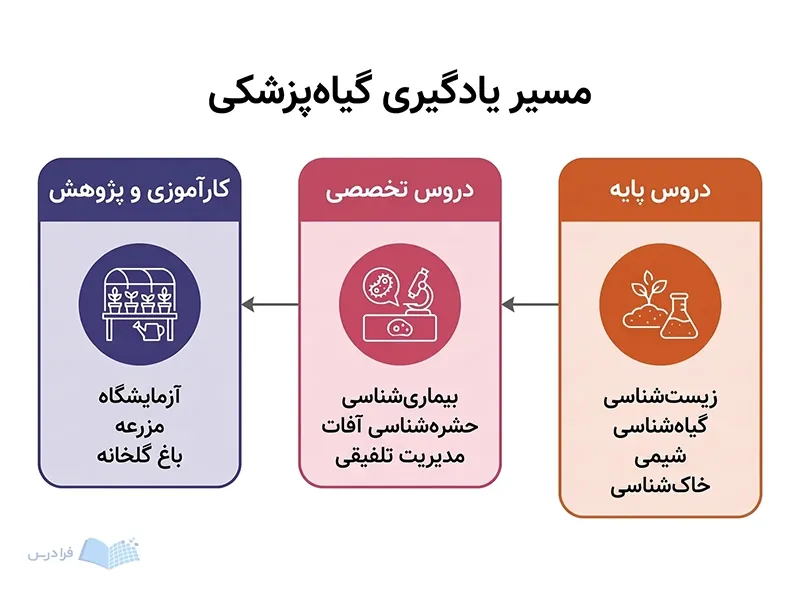 سه مرحله دروس پایه، دروس تخصصی و کارآموزی پژوهش در مسیر آموزش گیاهپزشکی.