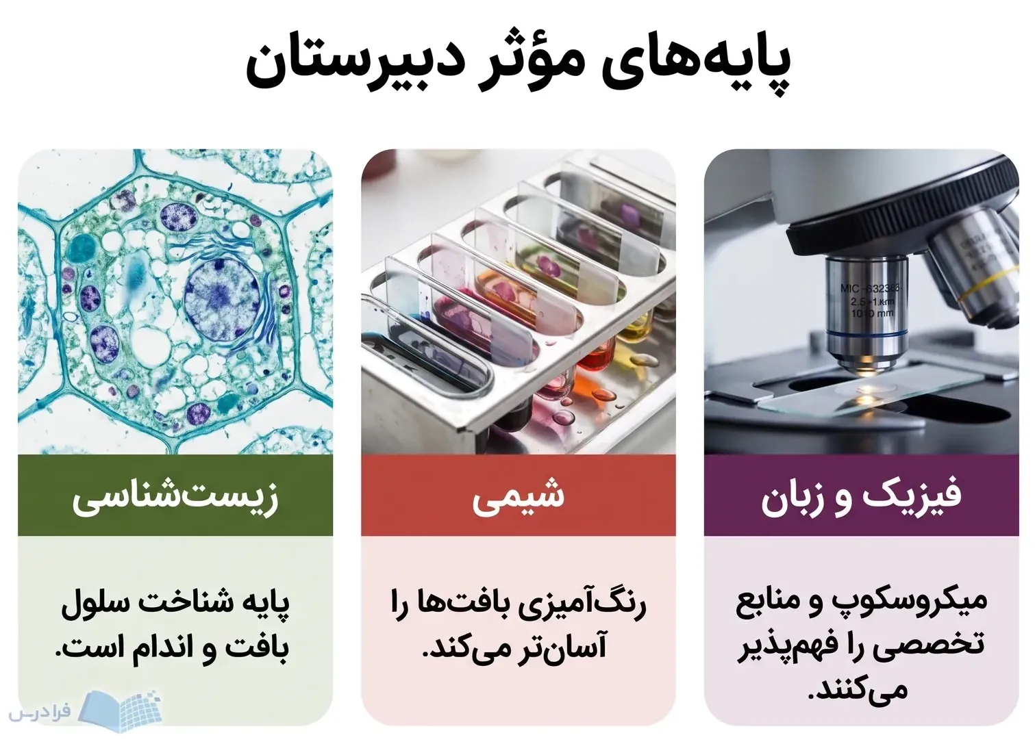 سه کارت زیستشناسی شیمی و فیزیک و زبان با سلول رنگآمیزی بافت و عدسی میکروسکوپ.