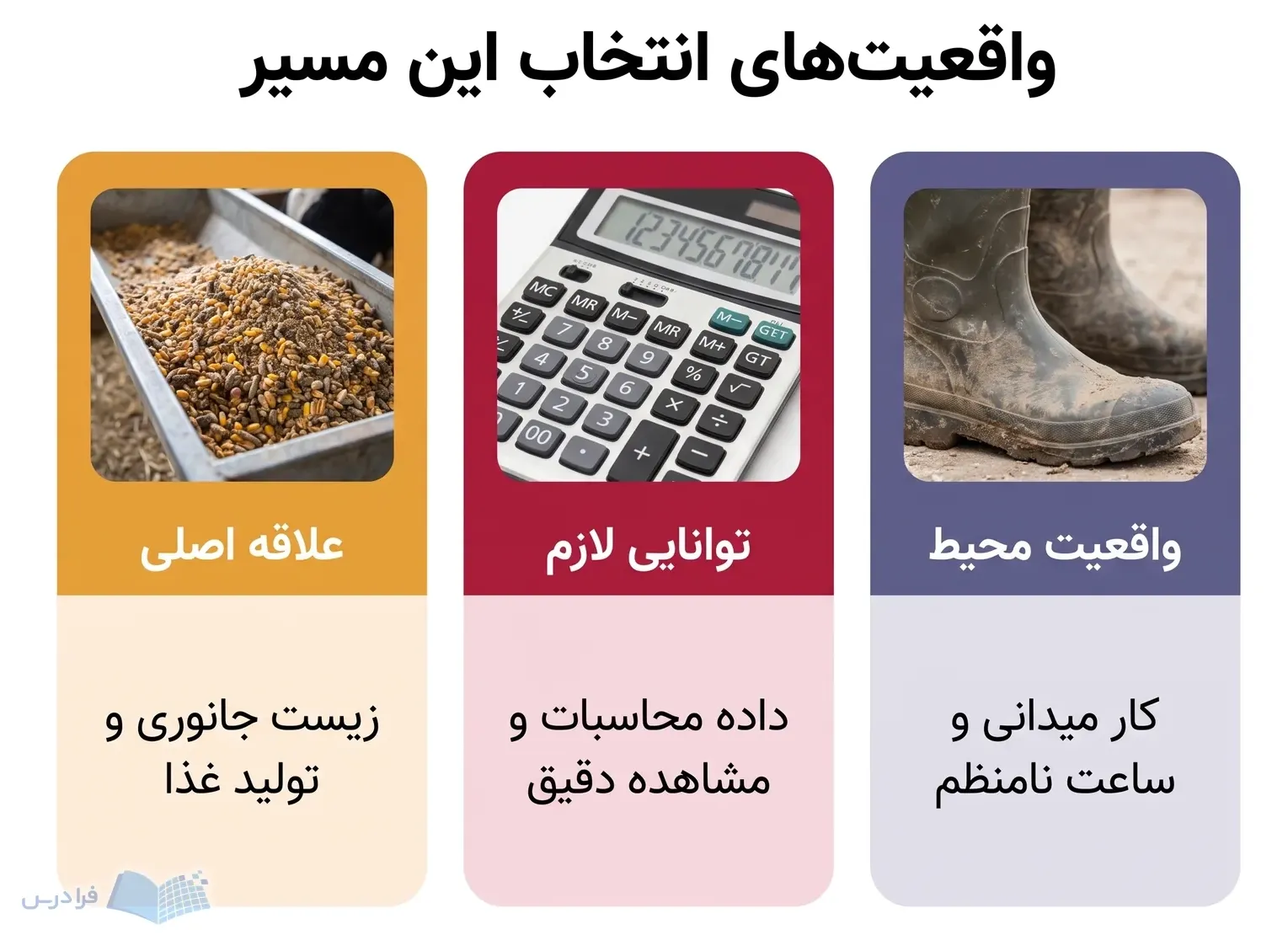 سه پنل علاقه به تولید، توانایی تحلیل داده و واقعیت کار میدانی را نشان میدهند.