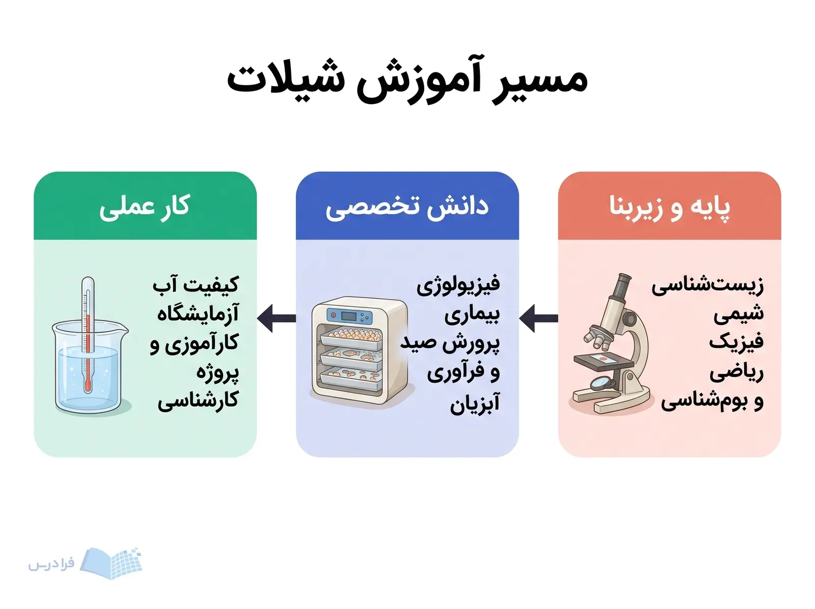 سه مرحله دروس پایه، دانش تخصصی و کار عملی در آموزش شیلات با پیکانهای پیوسته.