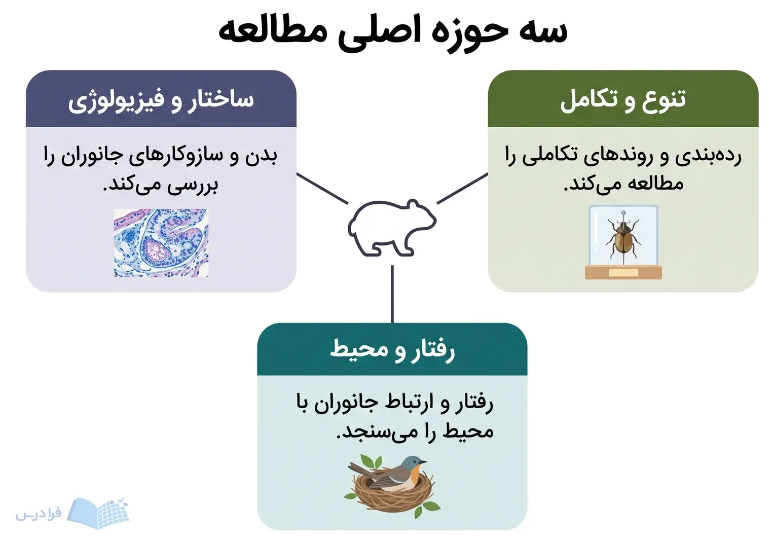 نمودار سه حوزه ساختار و فیزیولوژی، رفتار و محیط، و تنوع و تکامل جانوران.