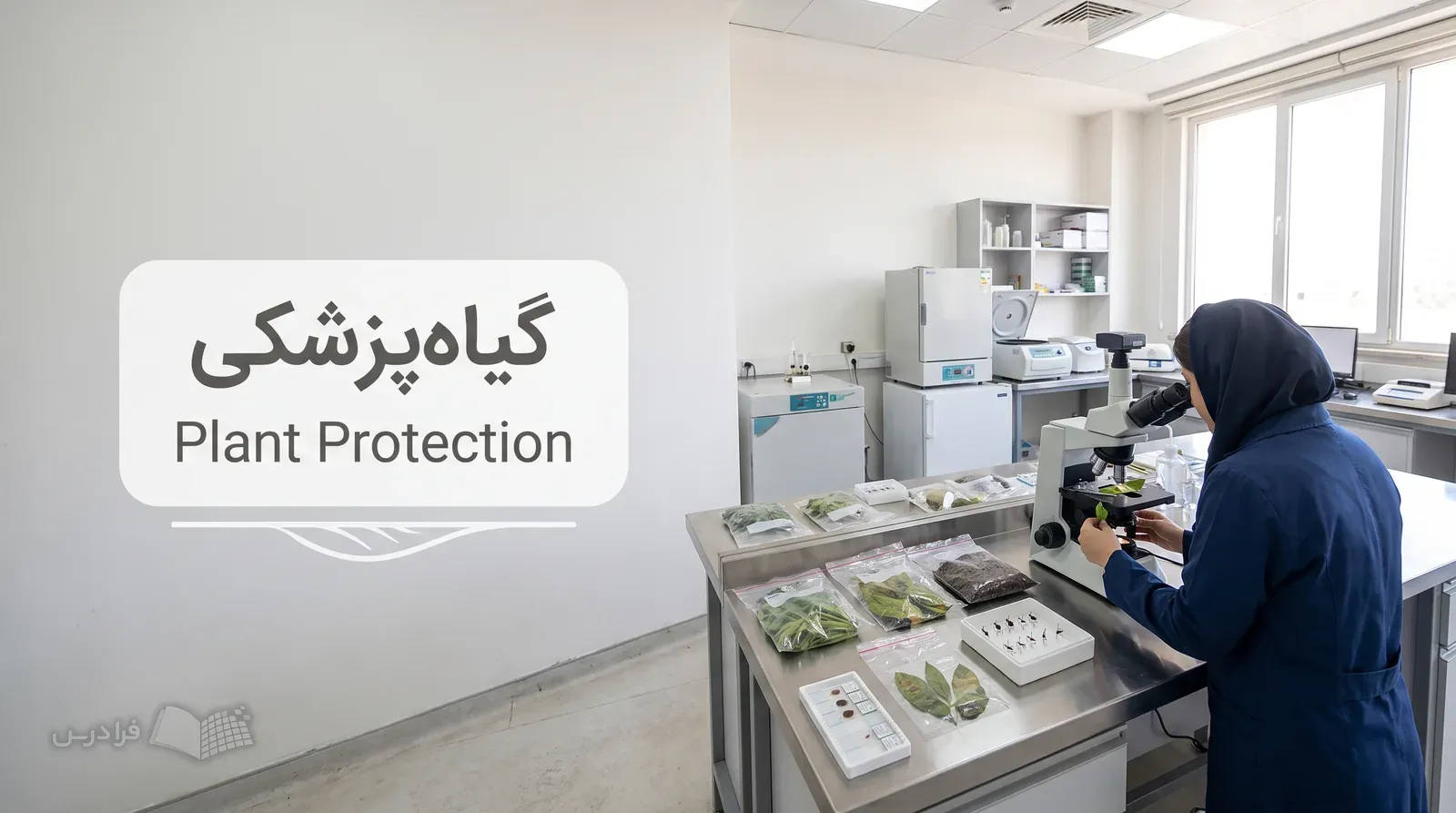 آزمایشگاه تشخیص بیماری گیاه با میکروسکوپ و نمونههای برگ محصولات کشاورزی - رشته گیاه پزشکی