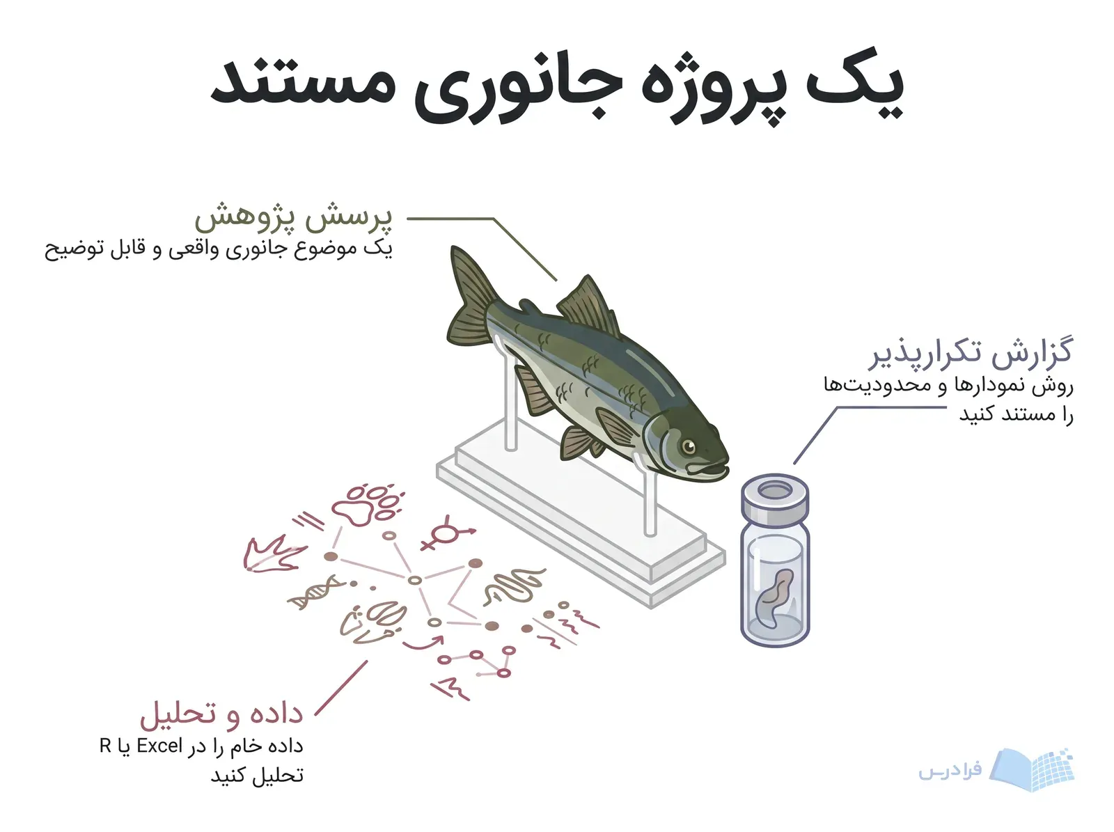 چیدمان پروژه جانوری با نمونه جانوری، داده خام و ظرف نمونه‌برداری برای سه بخش پروژه.
