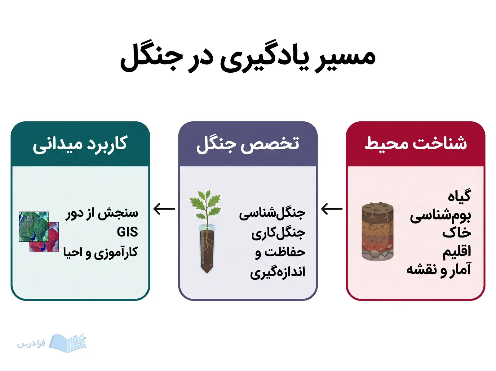 سه مرحله شناخت محیط، تخصص جنگل و کاربرد میدانی با نمونه خاک، نهال و ماهواره کنار هم قرار دارند.
