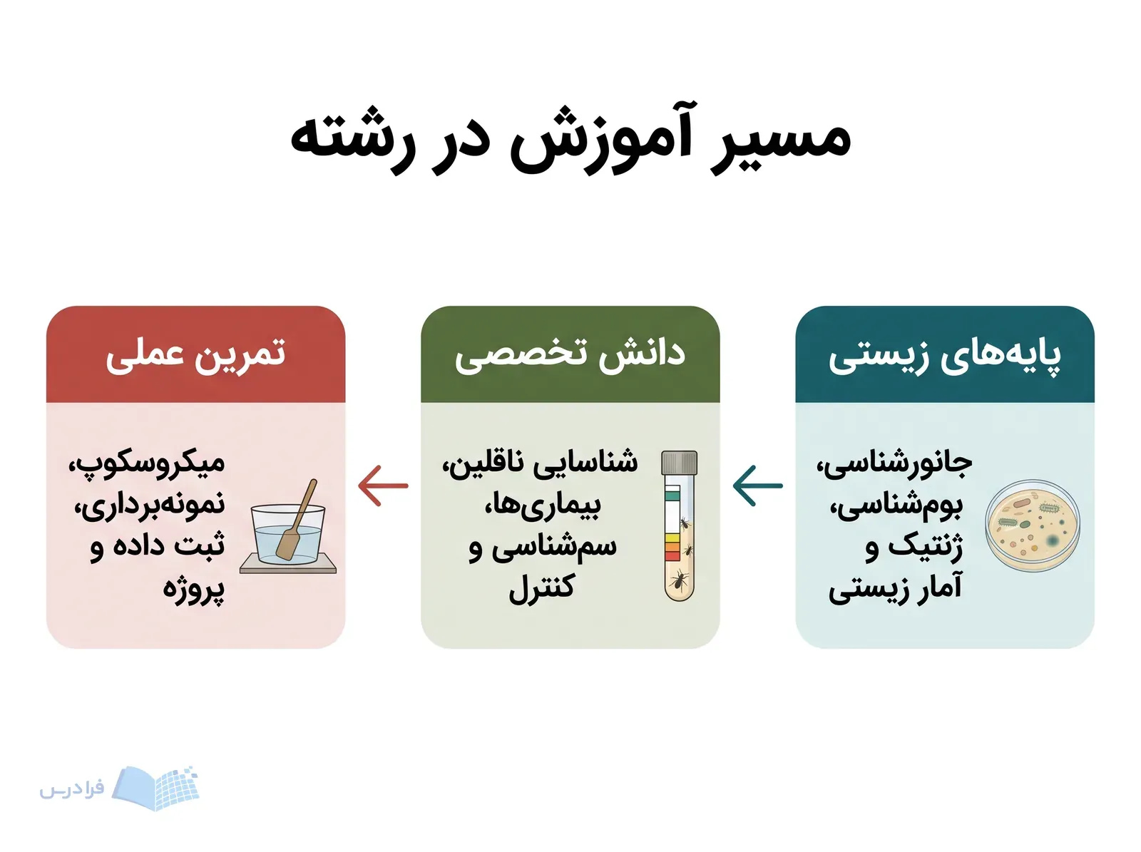 سه مرحله پایههای زیستی، دانش تخصصی و تمرین عملی با ابزارهای متفاوت در مسیر آموزشی.