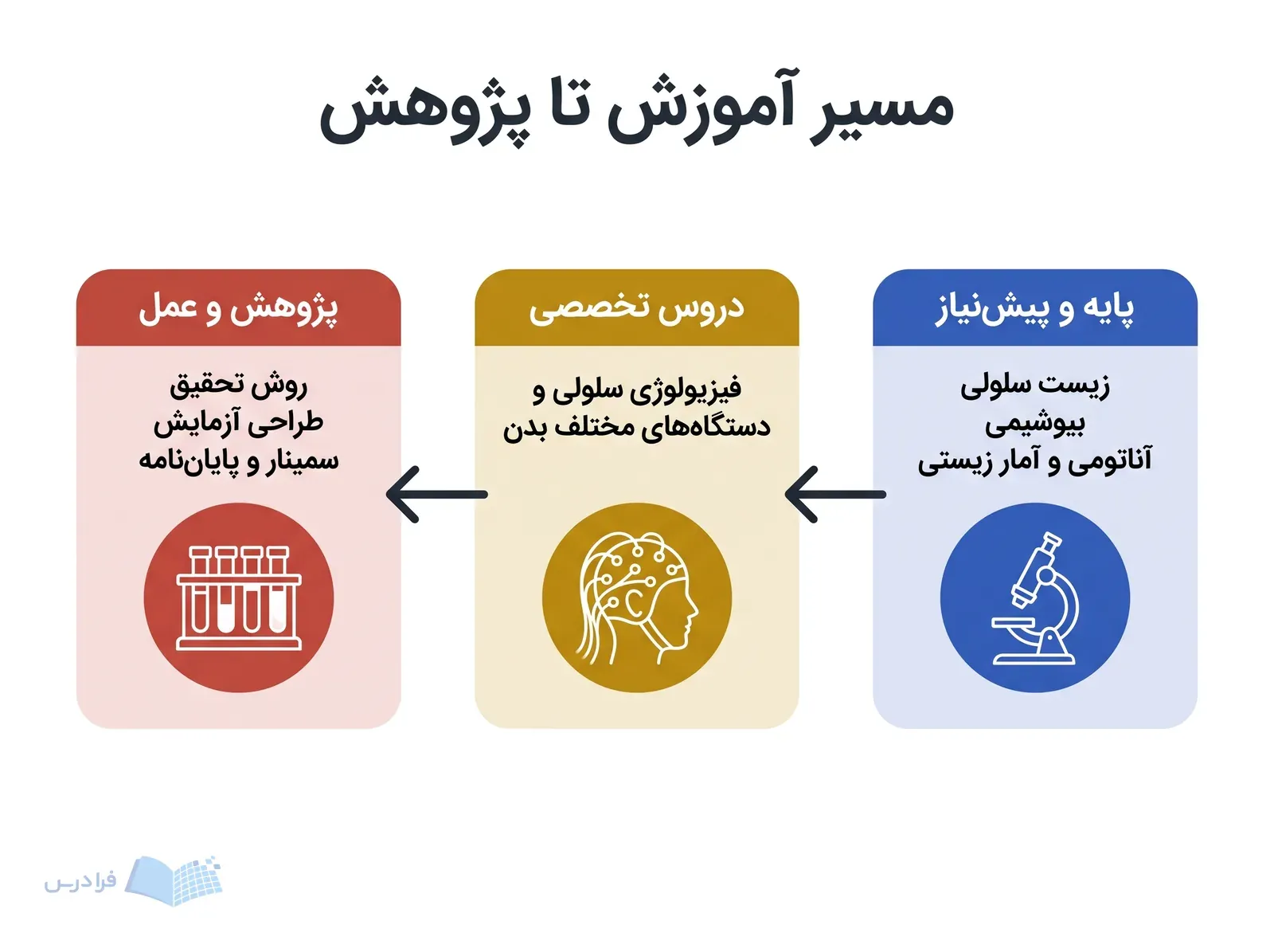 سه مرحله آموزش فیزیولوژی پزشکی از پیش‌نیازهای پایه تا پژوهش و عمل.