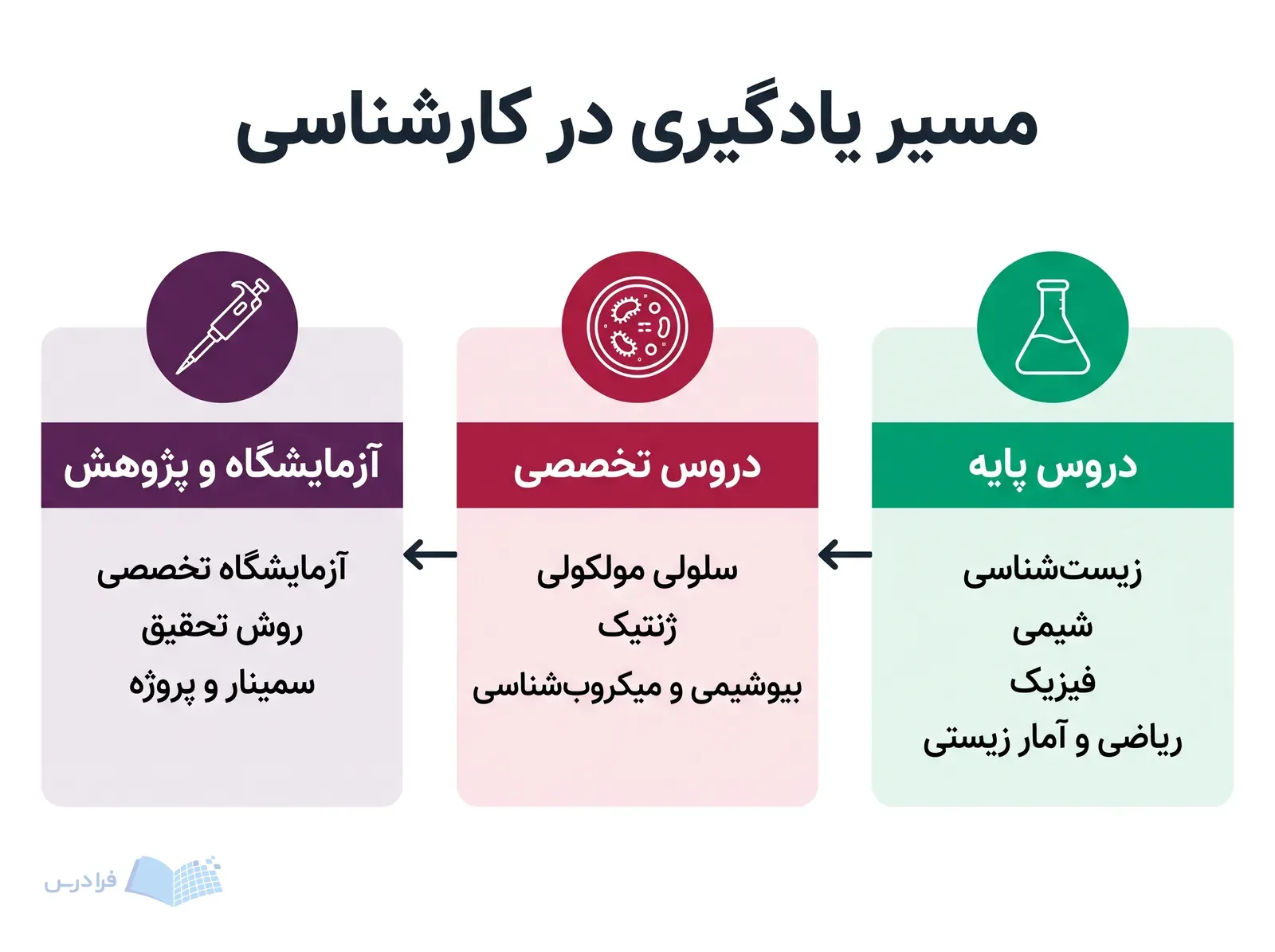 مسیر سهمرحلهای دروس پایه، دروس تخصصی و آزمایشگاه و پژوهش در کارشناسی زیستشناسی.