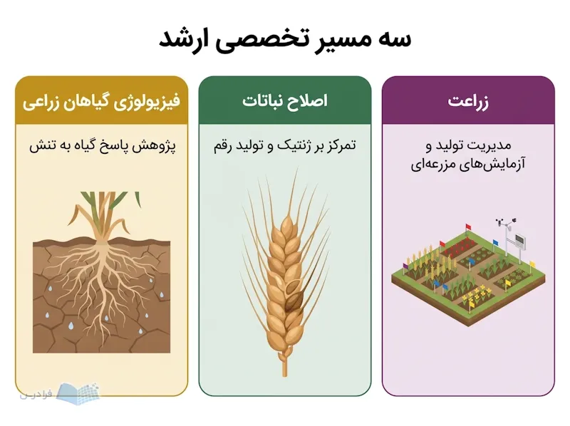 سه پنل زراعت، اصلاح نباتات و فیزیولوژی گیاهان زراعی با قطعه آزمایشی، خوشه و ریشه گیاه.