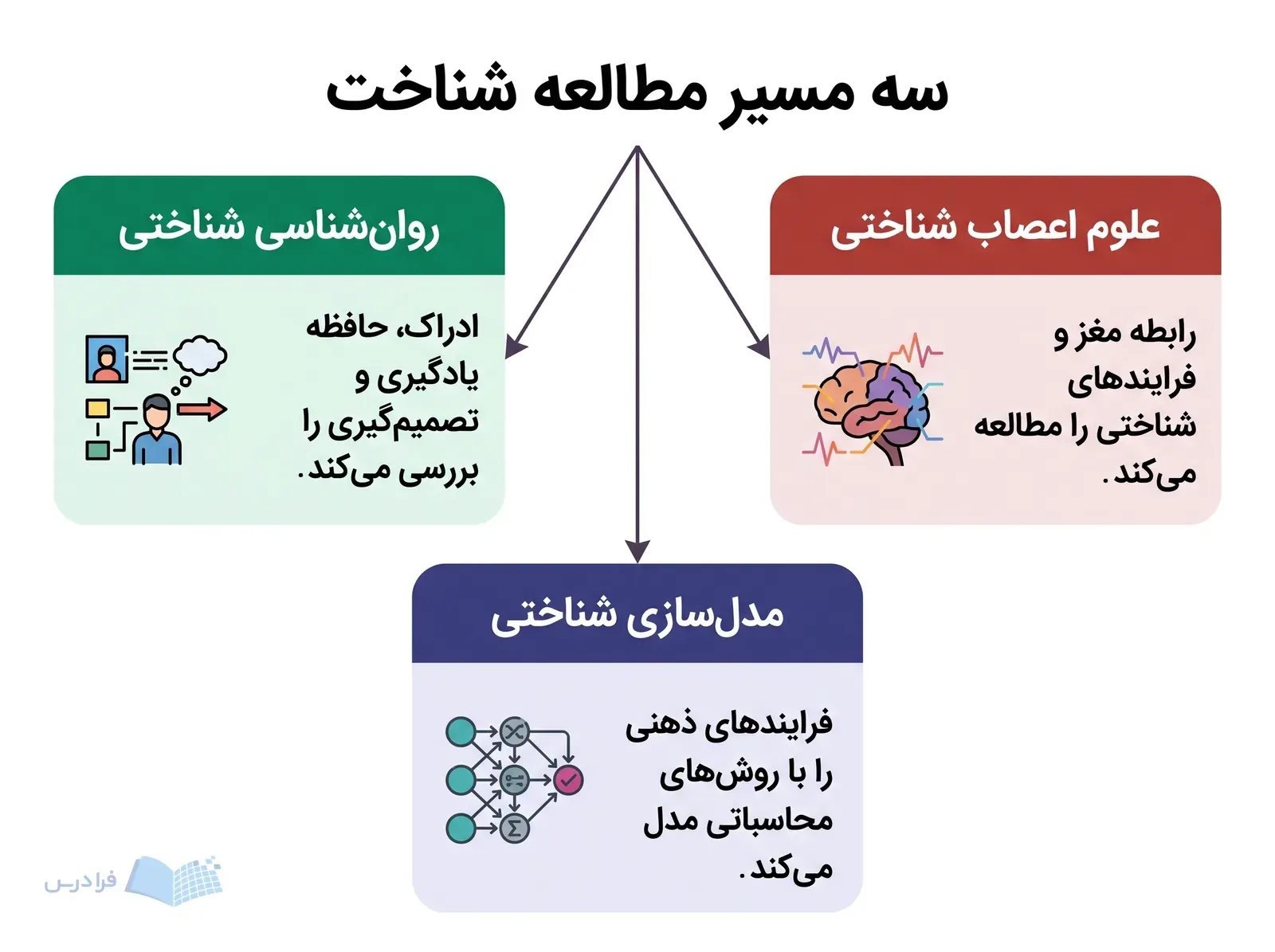 نمودار علوم شناختی با سه شاخه روانشناسی، علوم اعصاب و مدلسازی شناختی.