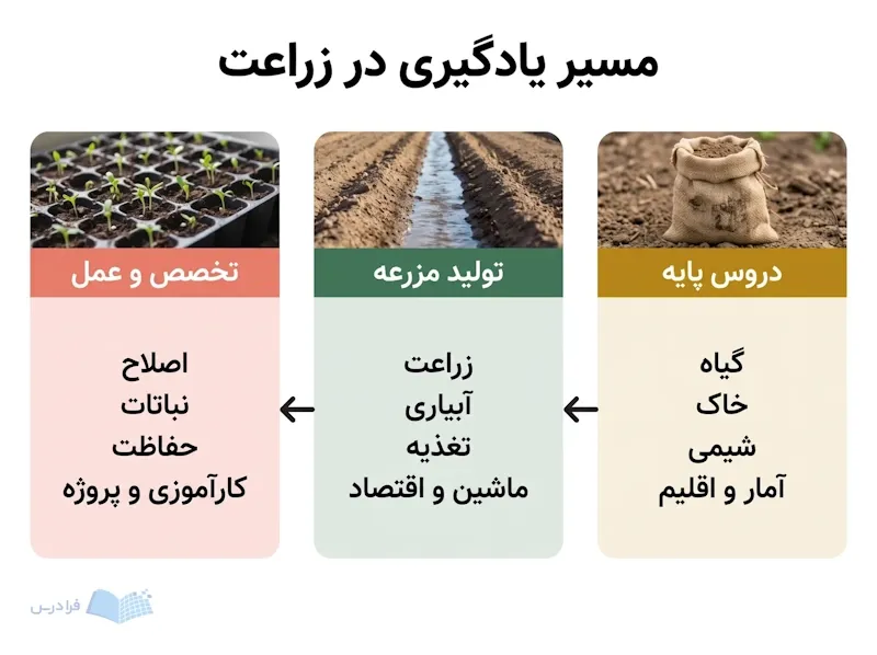 سه مرحله درسی زراعت با کیسه نمونه خاک، شیار آبیاری و سینی جوانهزنی.