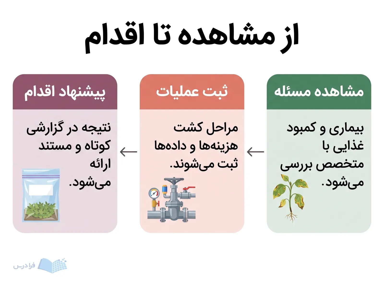 سه مرحله مشاهده مشکل گیاه، ثبت عملیات کشت و ارائه پیشنهاد اقدام مستند.