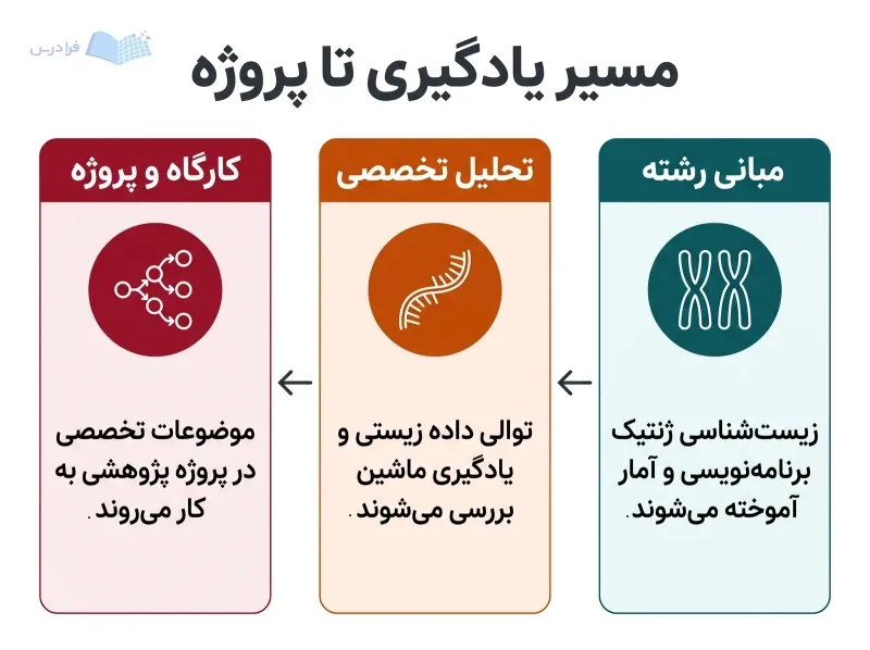 سه مرحله مبانی رشته، تحلیل تخصصی و کارگاه و پروژه با پیکان‌های جهت‌دار از راست به چپ
