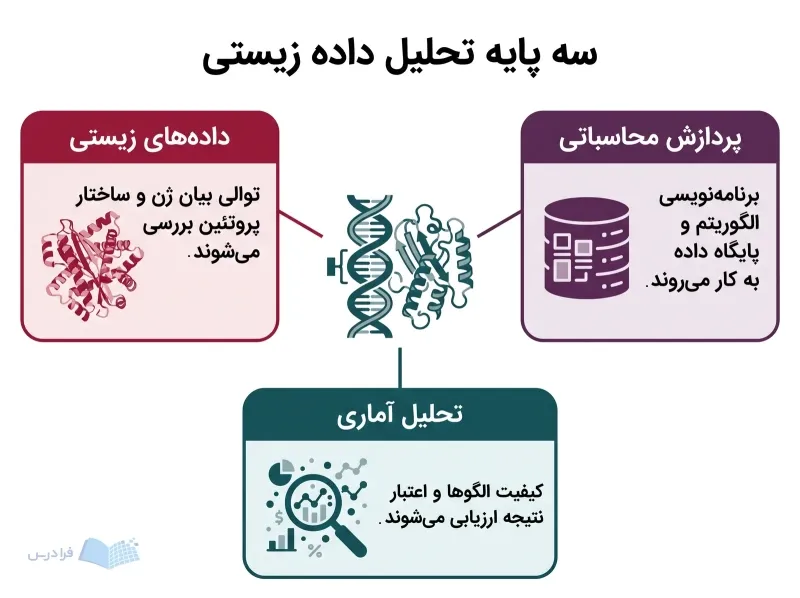 مارپیچ DNA مرکزی سه بخش داده‌های زیستی، پردازش محاسباتی و تحلیل آماری را پیوند می‌دهد