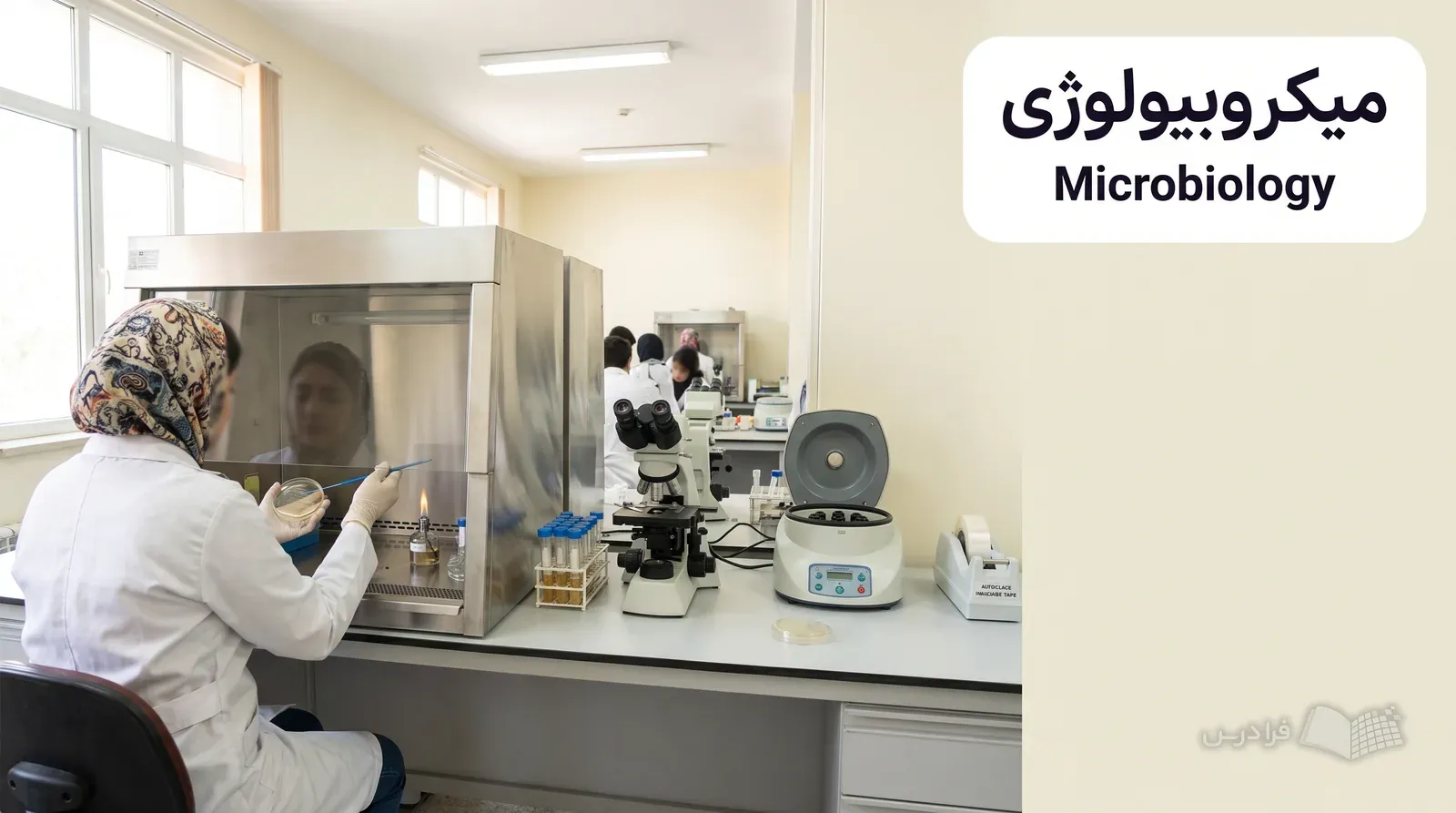 آزمایشگاه میکروبیولوژی دانشگاهی با کشت نمونه روی پلیت آگار در کابینت ایمنی زیستی.