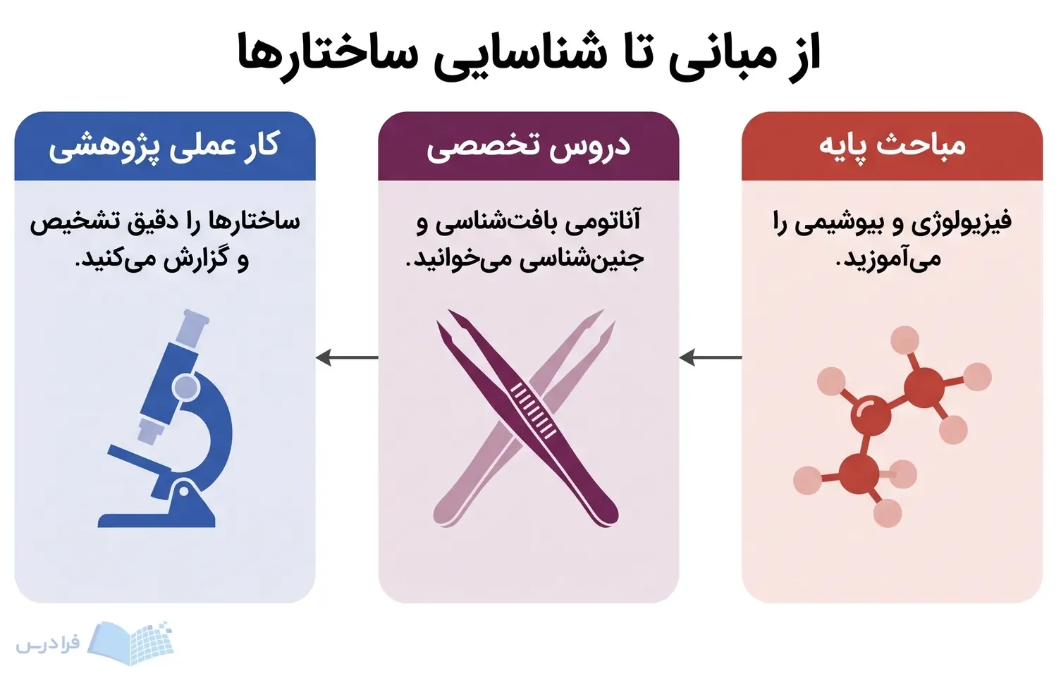 سه مرحله مباحث پایه، دروس تخصصی و کار عملی پژوهشی با پیکانهای راستبهچپ.
