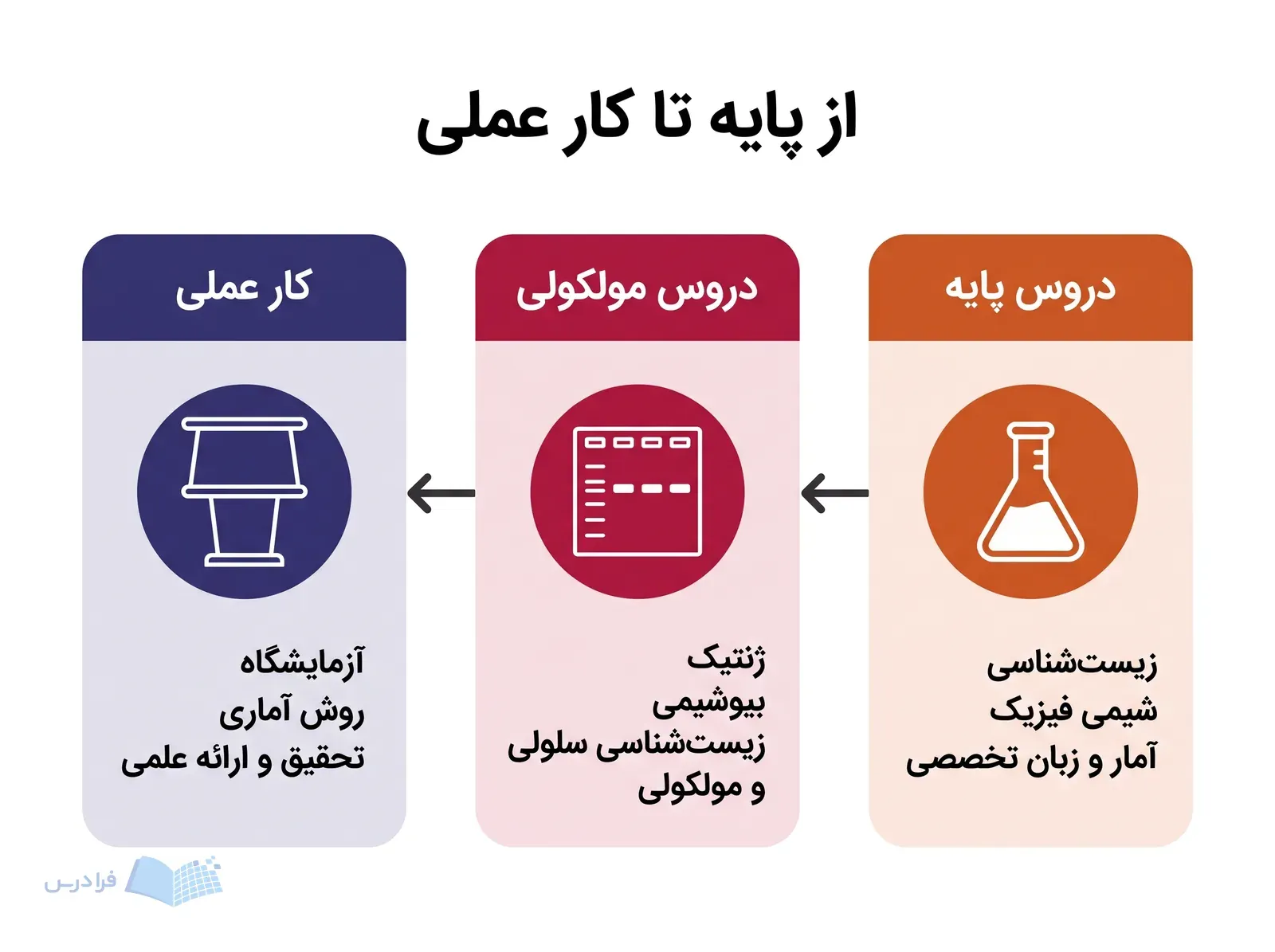 سه مرحله دروس پایه، دروس مولکولی و کار عملی با پیکانهای پیوسته.