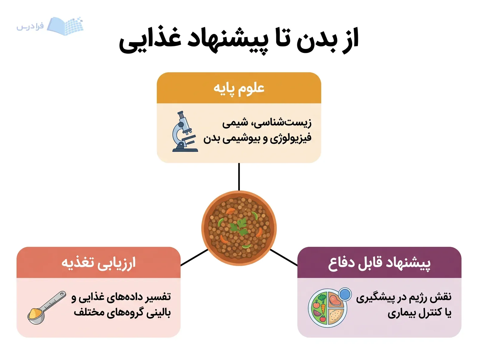 سه شاخه علوم پایه، ارزیابی تغذیه و پیشنهاد قابل دفاع گرد یک کاسه عدس قرار دارند.