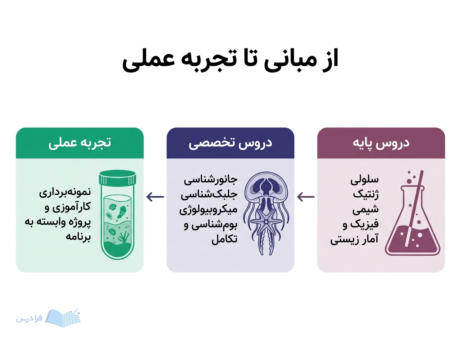 مسیر سهمرحلهای دروس پایه، دروس تخصصی و تجربه عملی زیستشناسی دریا