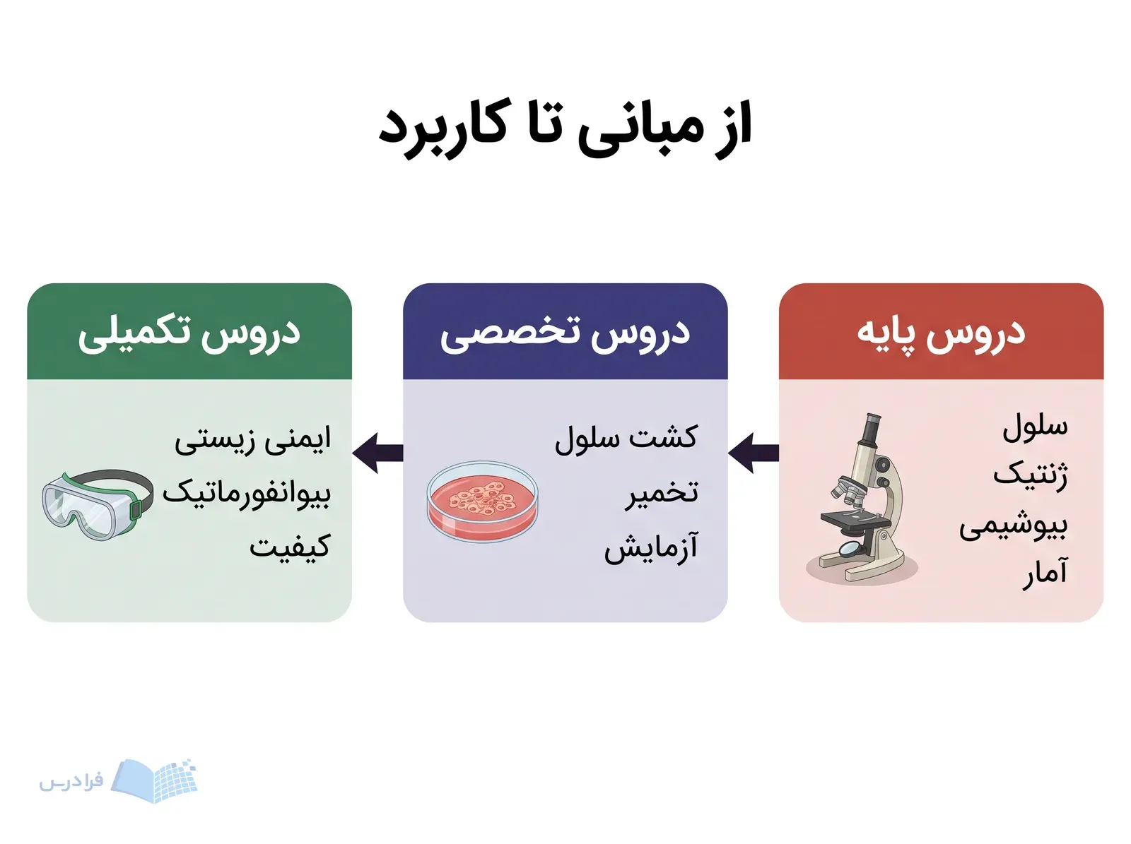 سه مرحله دروس زیست‌فناوری از مبانی علمی تا مهارت‌های تکمیلی با ابزارهای آزمایشگاهی متفاوت.
