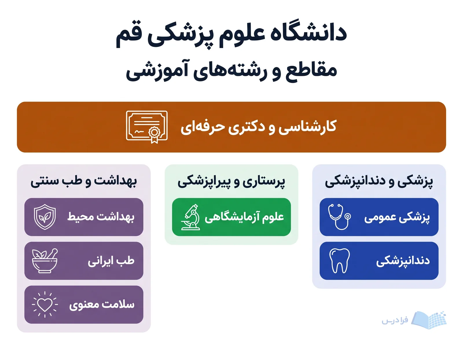 نمودار دانشگاه علوم پزشکی قم، مقاطع کارشناسی و دکتری حرفهای را با رشتههای منتخب دستهبندی میکند.