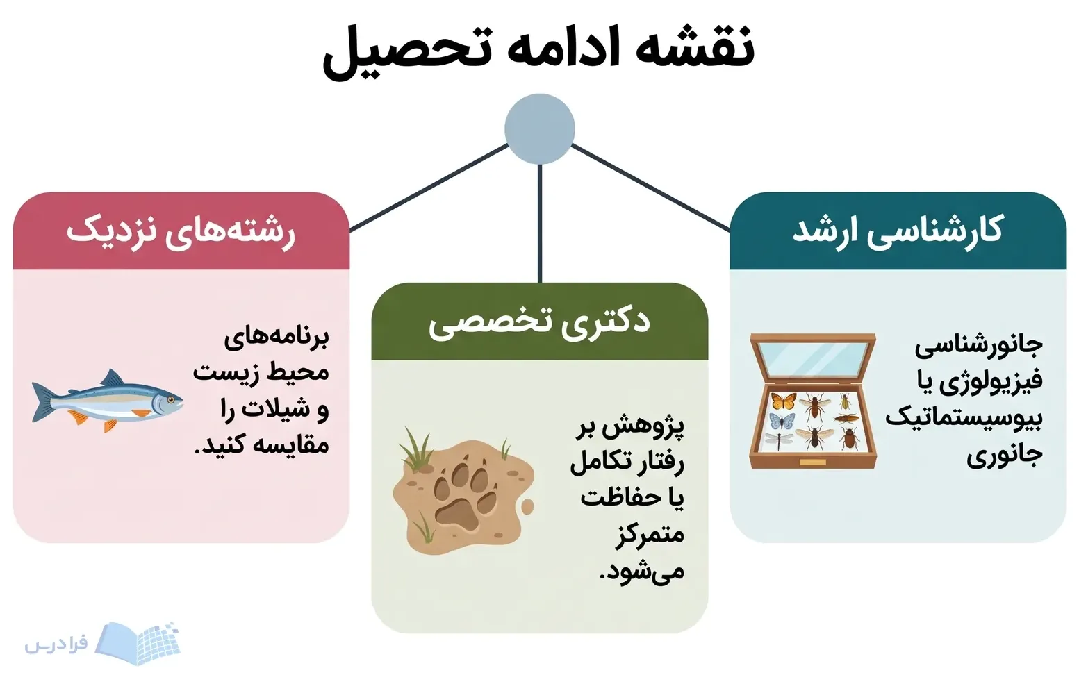 سه پنل کارشناسی ارشد، دکتری تخصصی و رشته‌های نزدیک پیرامون یک نقطه مرکزی.